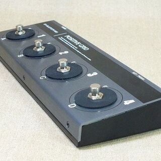 苫小牧バナナ】Positive Grid/ポジティブ グリッド フィジカル