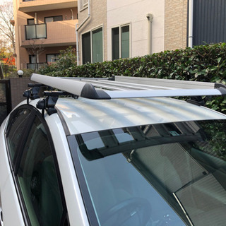 Terzo キャリア プリウス ZVW30 ZVW30