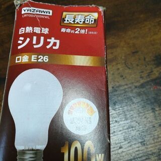 【ネット決済】電球