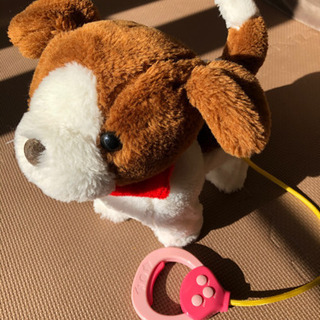 中古イワヤが無料 格安で買える ジモティー