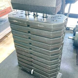 BODYMAKER ボディメーカーホームジムDX