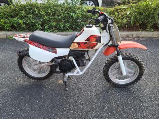 ホンダ QR50 2010