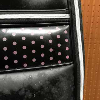 【12/31値下げしました！】【初心者・レディース】ゴルフバック（adidas）、ゴルフクラブ10本セット（マルマン FIGARO）、ボール・ティー・カウンターのおまけ付き！すぐに始められます！