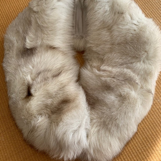 サガフォックス