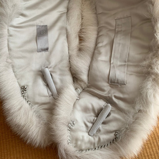 サガフォックス