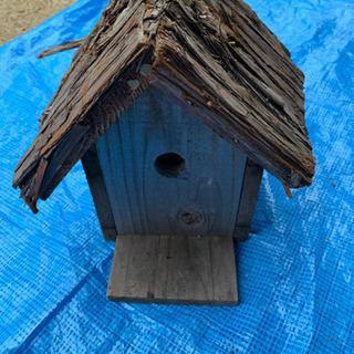 鳥の家、巣箱
