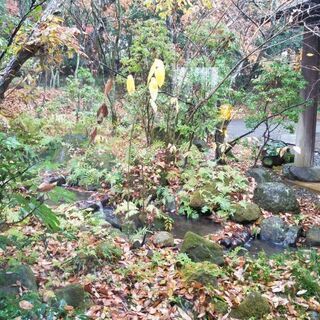 自然の力体験会 in 京都 - その他