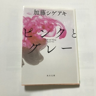 【ネット決済】ピンクとグレー　加藤シゲアキ