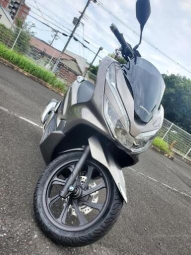 PCX JF81 今週限定 1600kmワンオーナー車