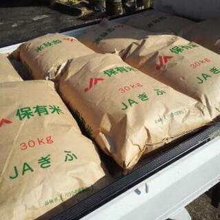 令和2年度年度産 岐阜県ブランド米 ハツシモ はつしも 30kg