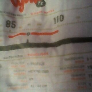 パラグライダーうりたし