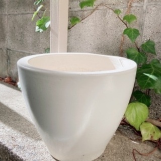 乳白色の陶器の植木鉢　