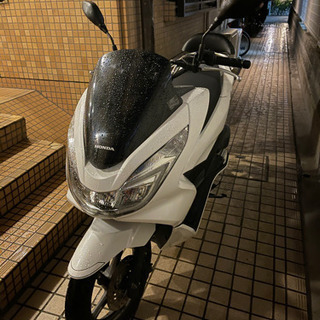 pcxjf56