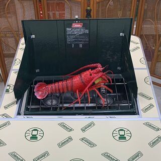 その他 Coleman 8人用 四折フォールディングBBQテーブル、販売中 
