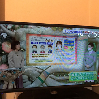 最終お値下げ 2017年製 SANSUI 高性能 32型 液晶テレビ