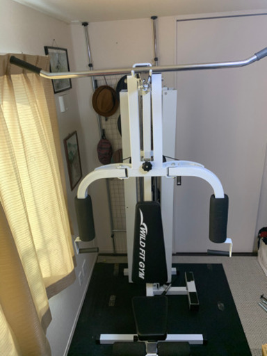 マルチ筋トレマシーン　WILD FIT GYM