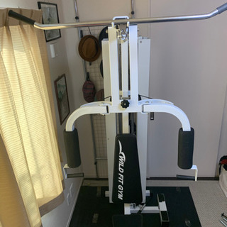 マルチ筋トレマシーン WILD FIT GYM