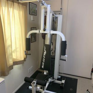 マルチ筋トレマシーン　WILD FIT GYM