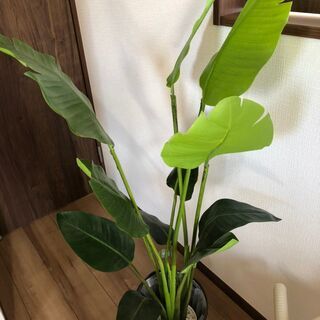 【ネット決済】観葉植物　フェイクグリーン　ニトリ