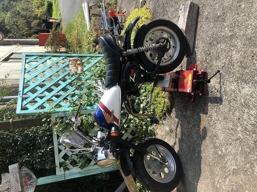 レストア・パーツ取り　１２Vモンキー車体のみ