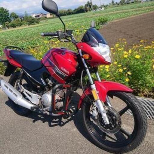 良品❗格安❗YBR125❗バリバリ走る❗(^-^)/ 年末年始特価❗