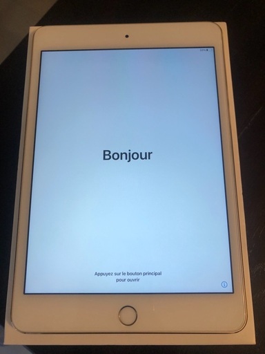 iPad iPad mini4 128gb