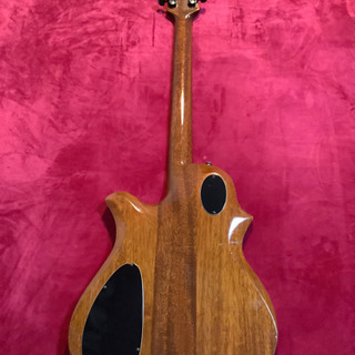 B.C. Rich Seagull(1975年製)＊ハードケース付