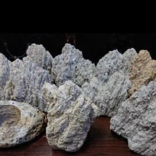 年末特価 大きい軽石 軽石の植木鉢一品物 ジモティーアクア 宮之阪のその他の中古あげます 譲ります ジモティーで不用品の処分 年末特価 大きい軽石 軽石の植木鉢一品物 ジモティーアクア 宮之阪のその他の中古あげます 譲ります ジモティーで不用品の処分