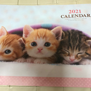 新品。子猫カレンダー