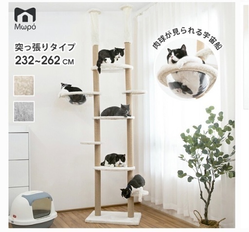 キャットタワー  突っ張り  新品未使用  透明  オシャレ