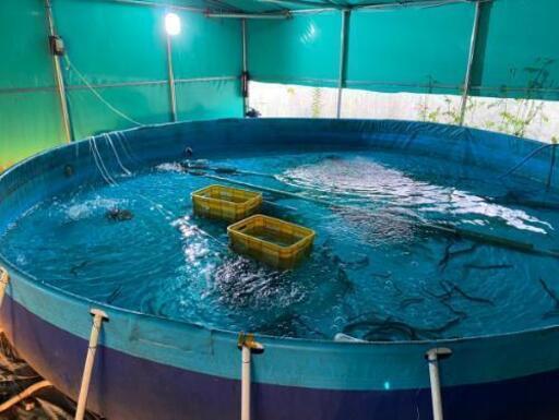 養殖 釣り堀 キャンプ場 近未来工業 和歌山の土地販売 土地売買の不動産 住宅情報 無料掲載の掲示板 ジモティー