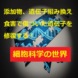 100歳まで若く健康に生きる準備できてますか？『細胞科学セミナー...