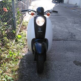 ホンダスクーピー　⁂　３万円　⁂　；原付交換、下取りします ホンダスクーピー ⁂ 3万円 ⁂ ；原付交換、下取りします
