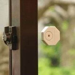 【お取引き１月１４日終了】新品未開封　音嫌い５・６号ｘ２０個　７万円⇒5万円