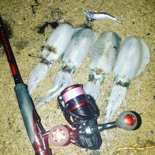 セフィアci4+リール、ロッドセット