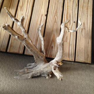 大阪府の中古流木が無料 格安で買える ジモティー