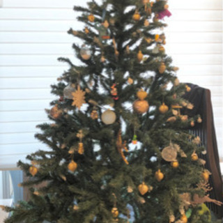 クリスマスツリー　210cm（飾りなし）