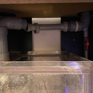 オーバーフロー水槽60ワイド