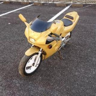 NSR50
