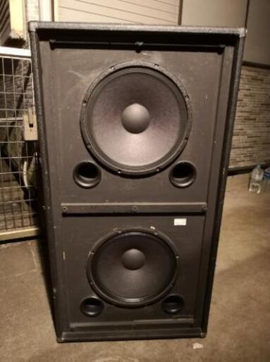 ampeg classic series svt215e
