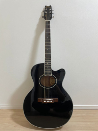 【割引中】washburn エレアコ ギター