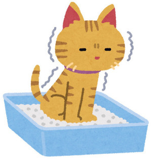 庭の野良猫のうんちを取ってくだる方いませんか💦