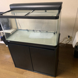 GEX ガラス水槽セット　台付き　手前フレーム無し！