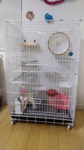 ☆チンチラ、小動物用 ケージ ゲージ☆ | qsfirst.sg