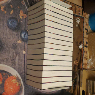 転生したらスライムだった件(小説版)