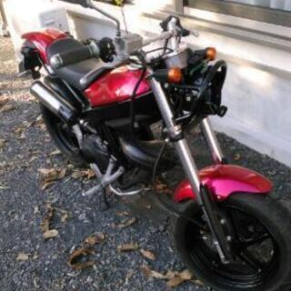 スズキ ストリートマジック50