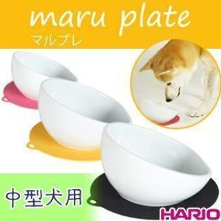 配達可能/美品★即日お渡し可能!★HARIOハリオ【maruプレ...