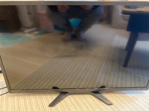 ORION 32v 薄型液晶テレビ