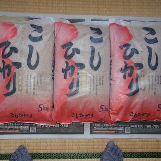 再度値下げ　令和2年　新米　石川県産　コシヒカリ玄米　５K×３