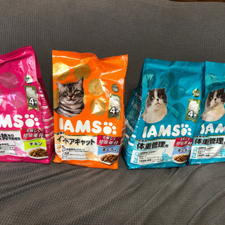 （決まりました）キャットフード　IAMS🐾